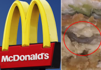 One customer bites worm inside McDonald's McC