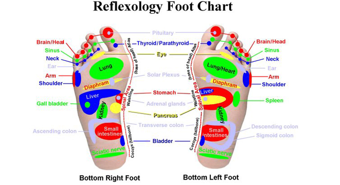 Back Pain Relief Through Reflexology