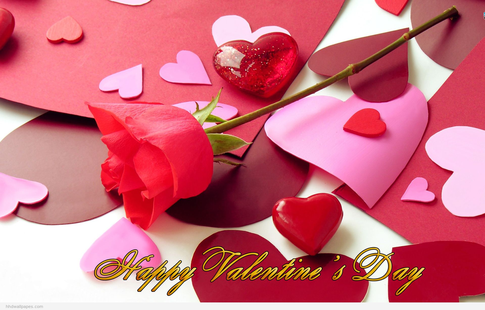 <h6>Why we celebrate 'Valentine's day' on February 14th every year</h6>Valentine's day is considered as the day of lovers.
Every year, this auspicious day is celebrated g...