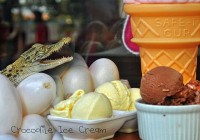 Crocodile flavored ice cream is now available